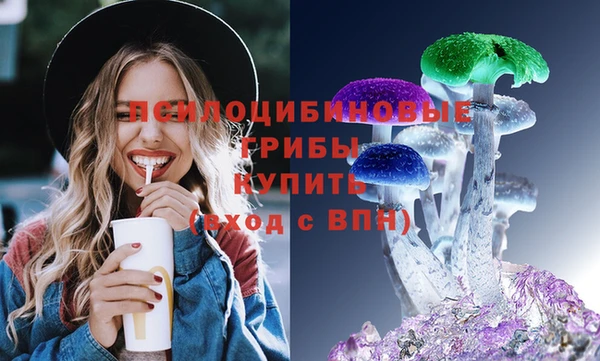 кокс Гусь-Хрустальный