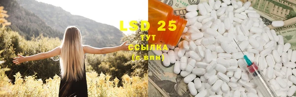 молекула духа Елабуга
