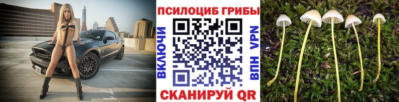 Купить где  Сланцы  Галлюциногенные грибы мицелий 